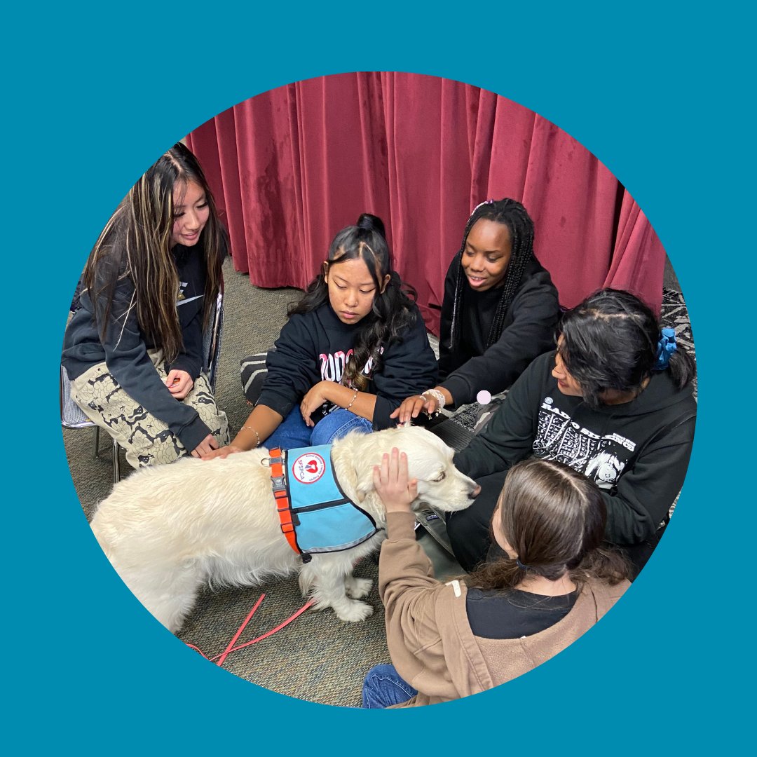 LifeLearningAcademy tweet media