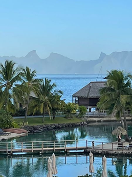 ryhoehoe's tweet image. #Our last morning at the International Tahiti Resort &amp;amp; Spa. Carrying the spirit.