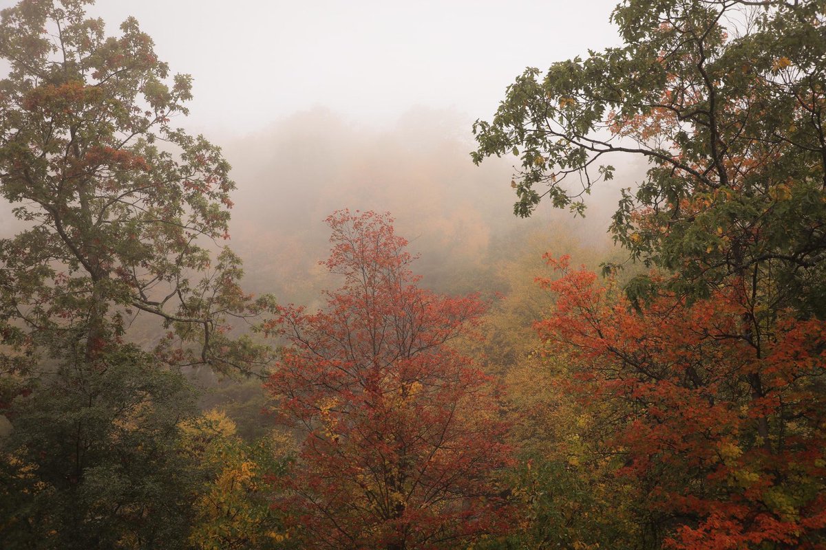 Mary Ongwen (@maryodeke) on Twitter photo Got some photos posted in the <a href="/ThrivingLitMag/">Thriving Writers Magazine</a>. Have you read it? #goodart #ThrivingWriters
Check it out: thrivingwritersmag.com/fine-art-mary-… Got some photos posted in the <a href="/ThrivingLitMag/">Thriving Writers Magazine</a>. Have you read it? #goodart #ThrivingWriters
Check it out: thrivingwritersmag.com/fine-art-mary-…