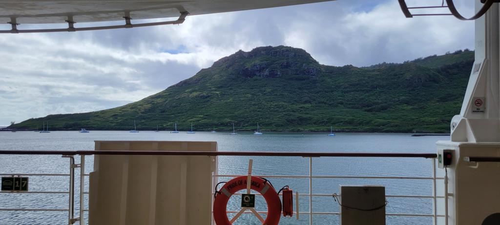 DrDLDennis's tweet image. My last day to code my dissertation data in Paradise.  #BeesGetDegrees #321go  #codingwithaview #AcademicTwitter