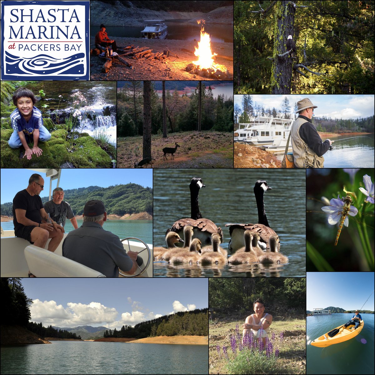 Shasta Marina Resort at Packers Bay tweet media