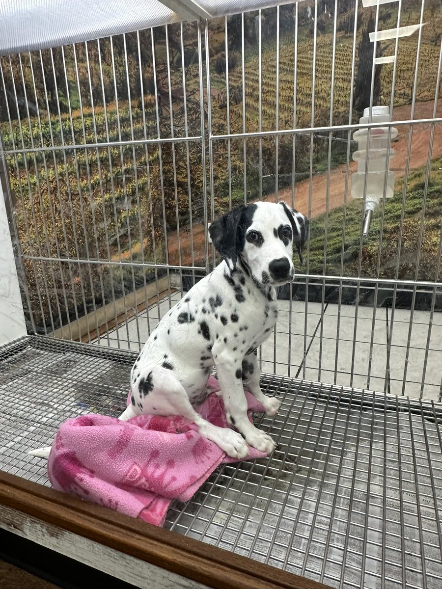 Austin John Plays tweet media