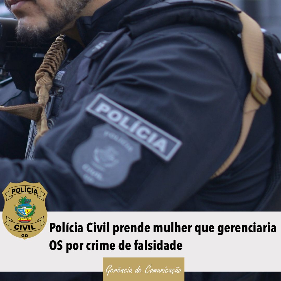 Polícia Civil de Goiás tweet media