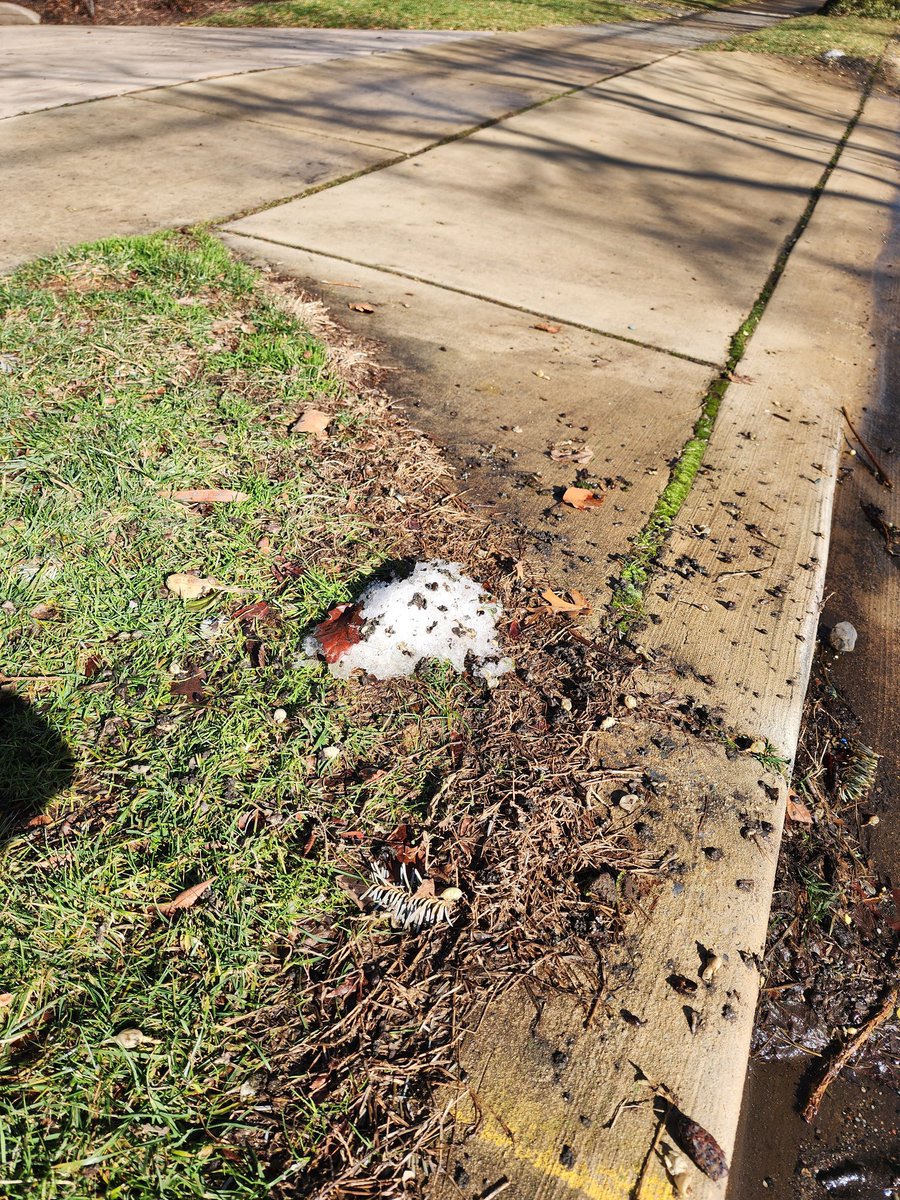 Doug Kammerer tweet media