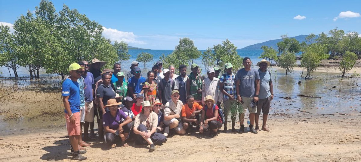 A final highlight of my 3rd year in #Madagascar: Seeing the inspiring work of local communities - supported by @BlueVentures & funded by @DefraGovUK - to restore the mangroves of Ambanja. We’re looking forward to launching the exciting 🇬🇧-🇲🇬 Ocean Country Partnership this year.