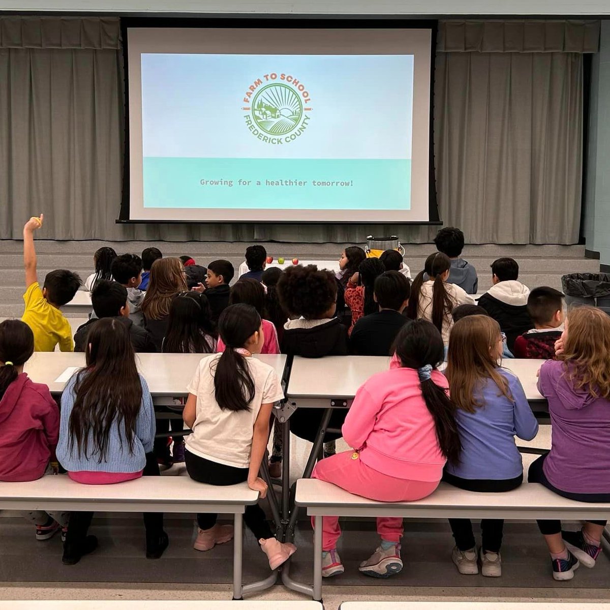 Farm to School Frederick (@f2sfrederick) on Twitter photo Great day with <a href="/FCPSWaverley/">Waverley Elementary School</a> 2nd graders delving into local food & healthy eating habits. Students tasted and compared 3 apple types honing writing skills & sharing thoughts among peers. <a href="/FCHealthDept/">Frederick County Health Department</a> #LocalFood #HealthyEating #FarmtoSchool #SchoolWellness #CommunitySchools Great day with <a href="/FCPSWaverley/">Waverley Elementary School</a> 2nd graders delving into local food & healthy eating habits. Students tasted and compared 3 apple types honing writing skills & sharing thoughts among peers. <a href="/FCHealthDept/">Frederick County Health Department</a> #LocalFood #HealthyEating #FarmtoSchool #SchoolWellness #CommunitySchools