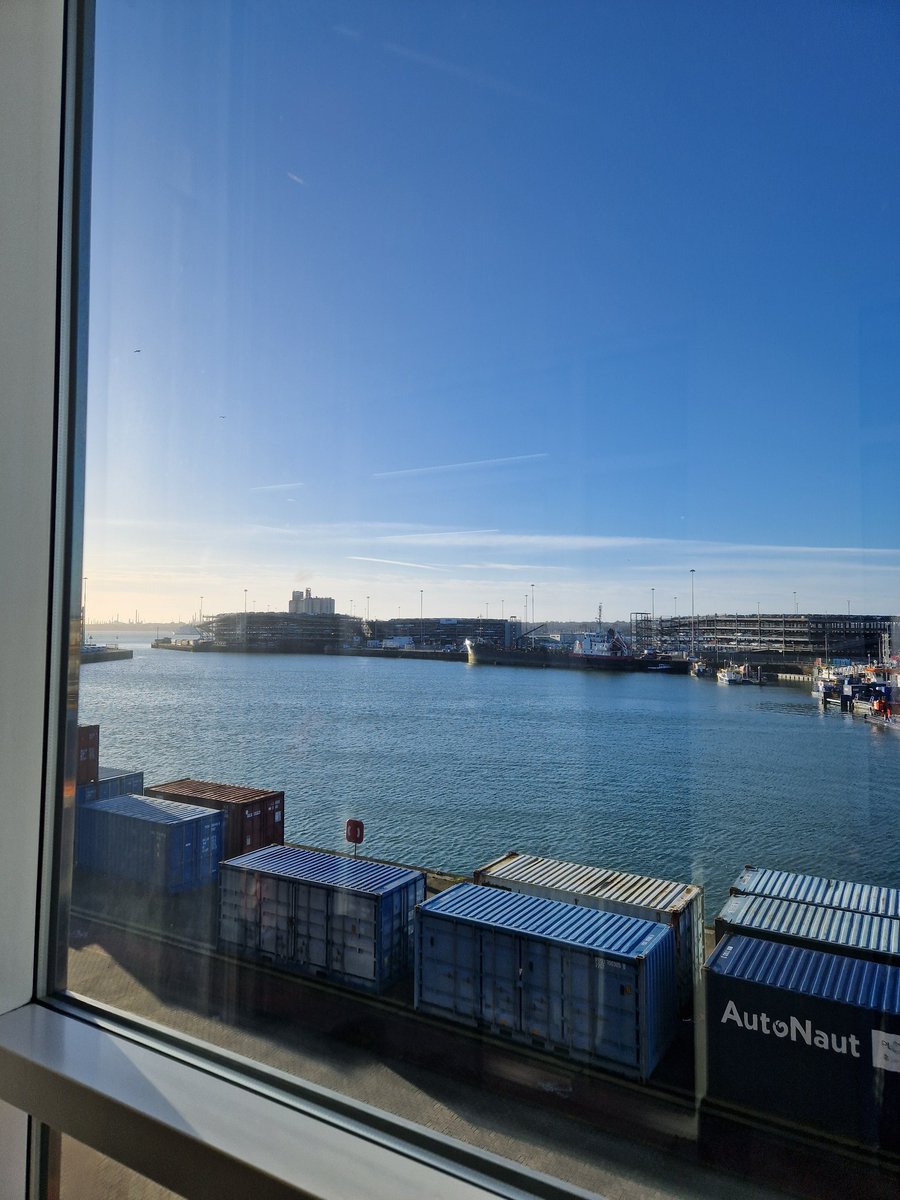 Emily Ellington tweet media