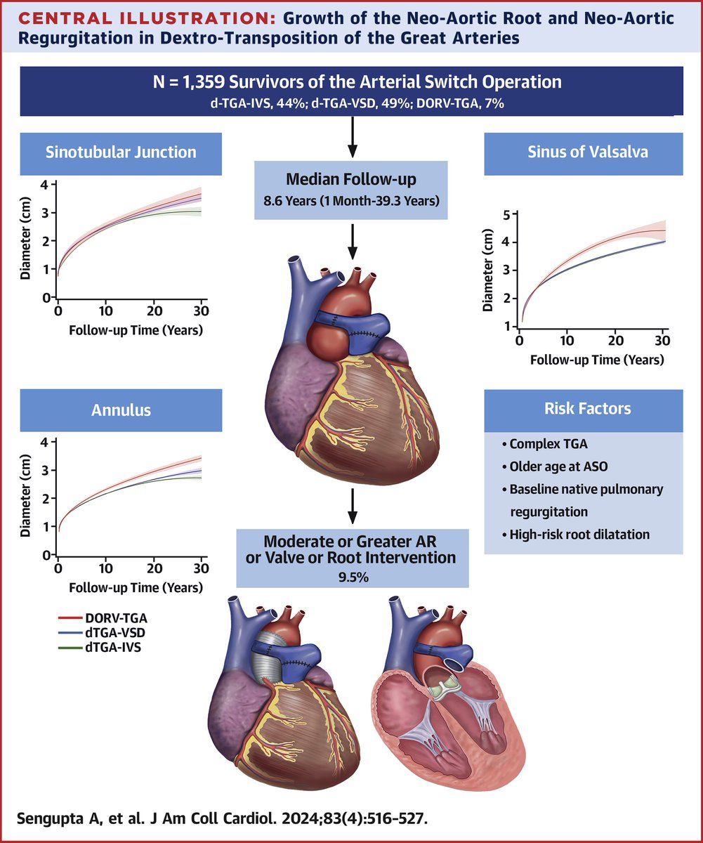 JACC Journals (@jaccjournals) on Twitter photo Root dilatation in transposition of the great arteries relative to the normal population persists for up to 40 years following the arterial switch operation. bit.ly/3vICIXV
#JACC #CardioX <a href="/ASenguptaMD/">Aditya Sengupta, MD, MPH</a> Root dilatation in transposition of the great arteries relative to the normal population persists for up to 40 years following the arterial switch operation. bit.ly/3vICIXV
#JACC #CardioX <a href="/ASenguptaMD/">Aditya Sengupta, MD, MPH</a>