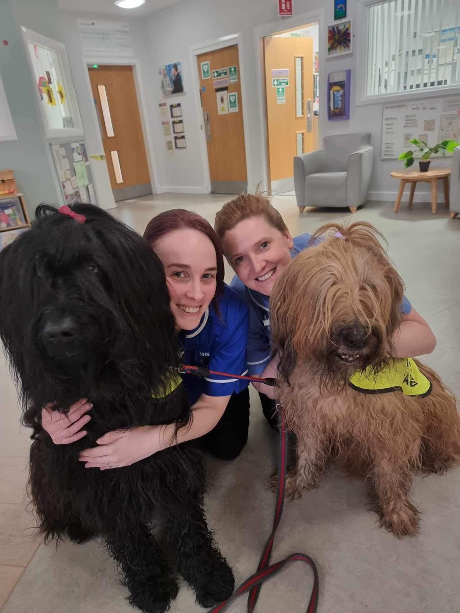 We welcomed Ruby and Bertie @Pooches20781922 to the ward yesterday.  How valuable the therapy dogs are 💕💕 @MHSSD_NottsHC @mazsmith1674 @StefJudge @Pip1RMN
