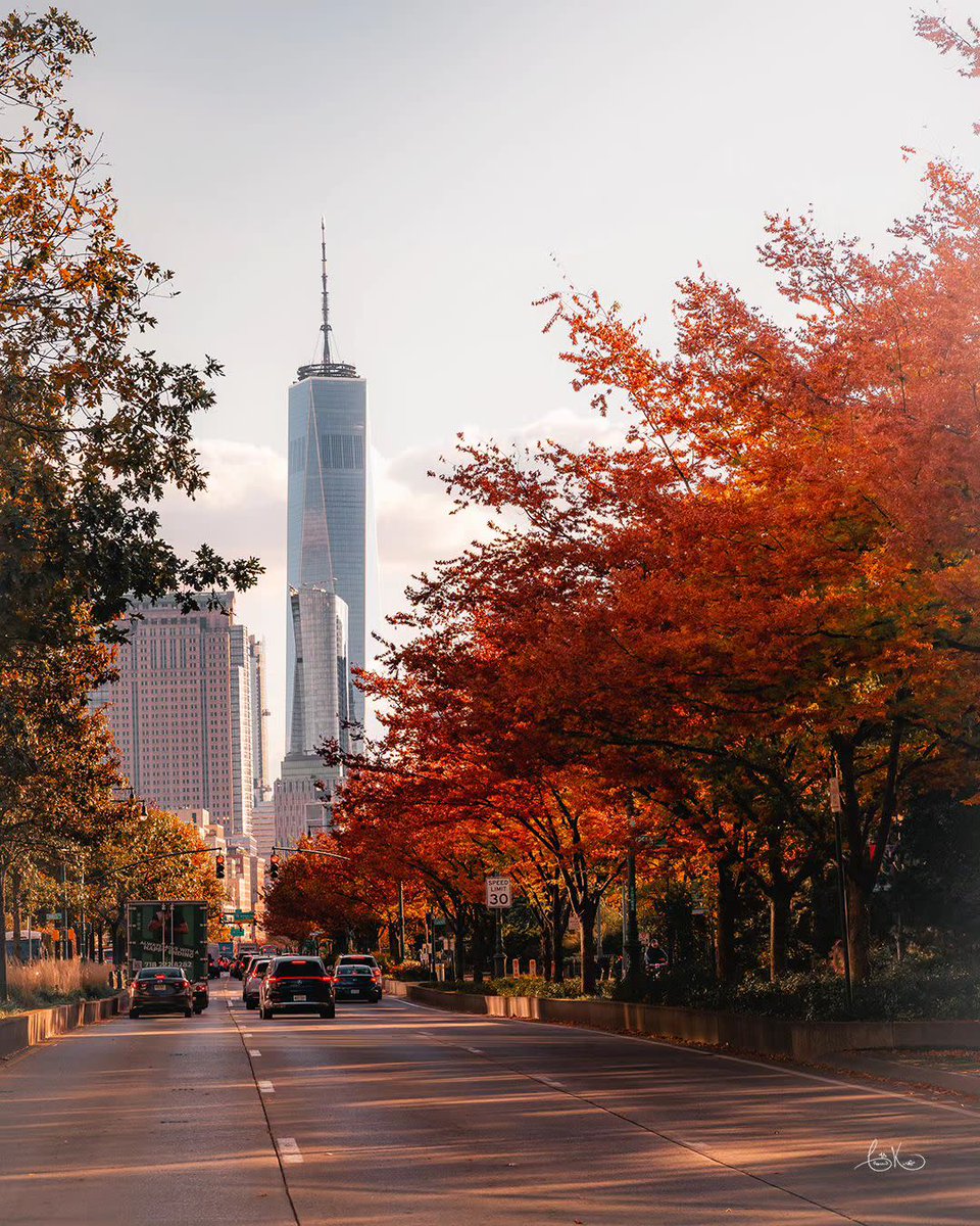 Stands tall amid the fiery embrace of fall's crimson palette 🍂 📸 IG @crown_4dking