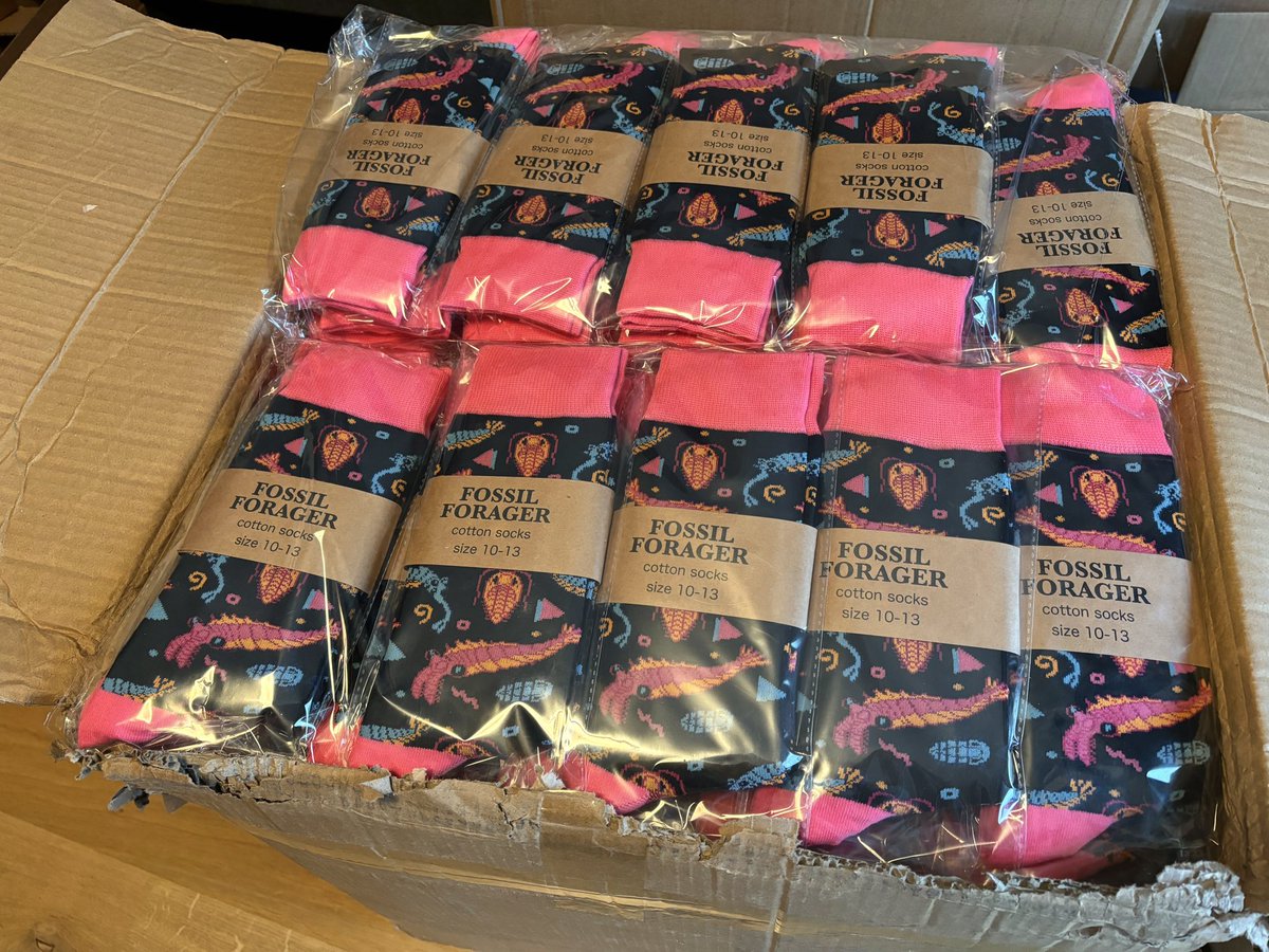 just received the Cambrian and monarch  socks finally!! Preorders will start being fulfilled ASAP ✨💕