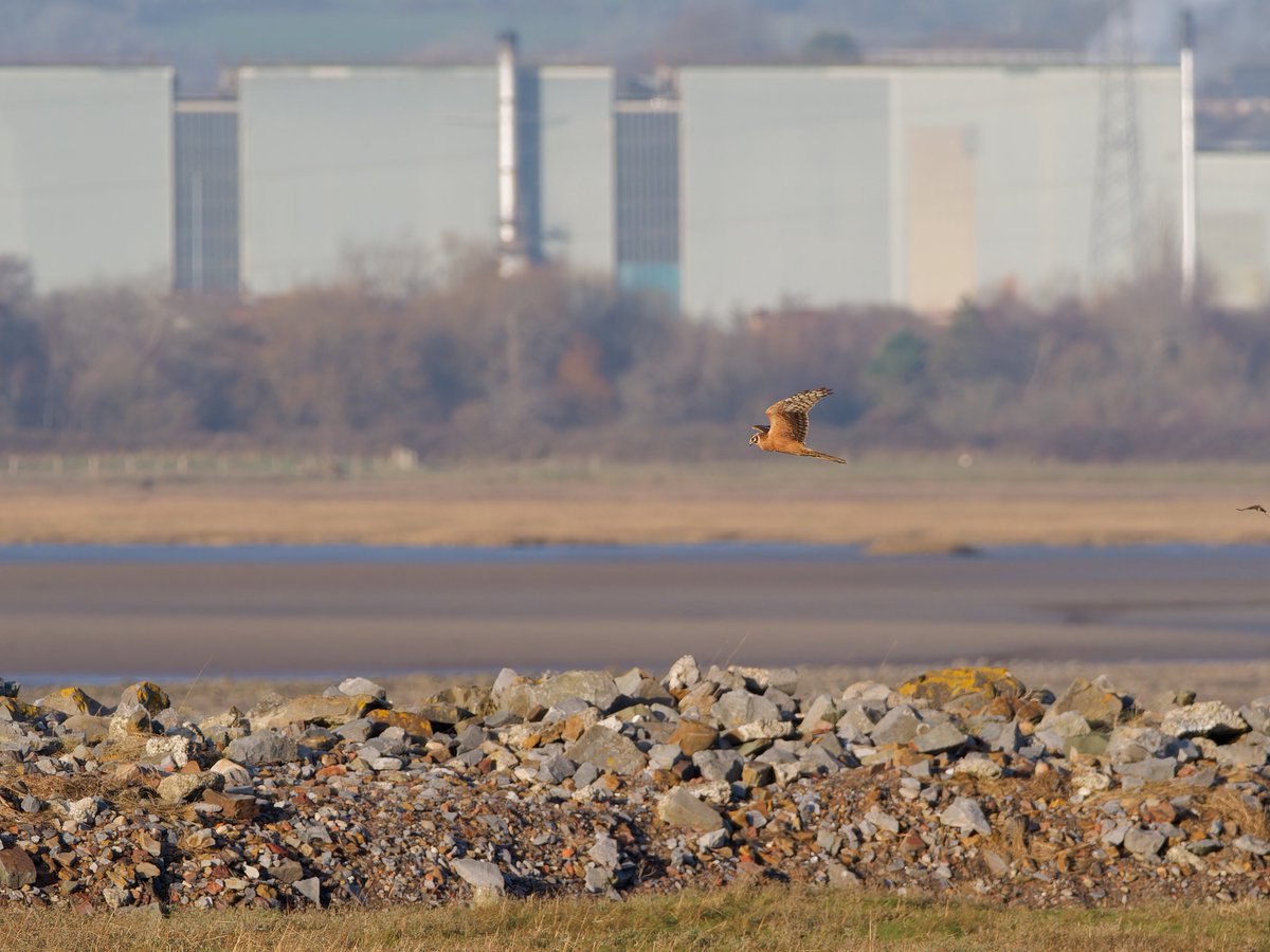 Paul Roberts tweet media