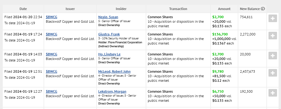 Nice buys over the last week from $BWCG insiders, especially <a href="/Frank_Giustra/">Frank Giustra</a>. 1,000,000 shares 🤑

$BWCG.v flushing out the old, and in with the new.

I suspect we hear more about Niblack and the MOU with $DV $GOT very soon.

$BWCGF
#Copper #Gold
