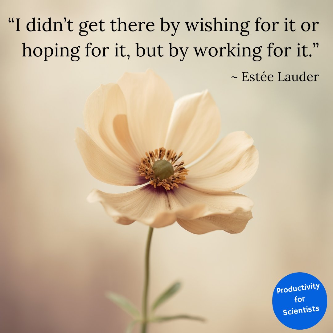 #MondayMotivation ✨ Have you set some goals for 2024?📌 This is your reminder that a goal is only a wish until you start working to make it happen.😉 ..So let's get to work! 👏😍 Join my daily #productivity sessions: tinyurl.com/writingspring2… #phd #postdoc #gradschool #writing