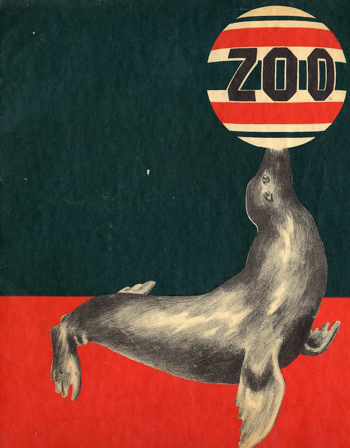 Image of a seal balancing a ball on its nose. The ball says Zoo.