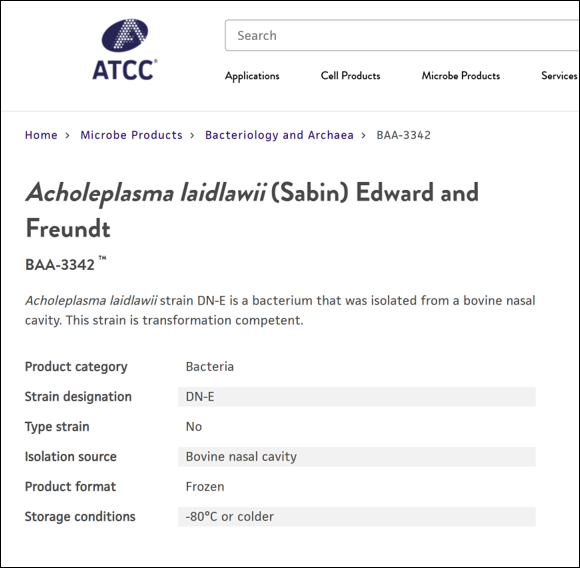 Karas Lab (@karaslab) on Twitter photo <a href="/Daniel_Nucifora/">Daniel Nucifora</a> evolved a superior Acholeplasma laidlawii strain that can be easily transformed using electroporation. Now available <a href="/officialatcc/">ATCC</a> This strain will form a platform for creating next-generation synthetic cells <a href="/SchulichMedDent/">Schulich WesternU</a> <a href="/WesternU/">Western University</a> <a href="/Daniel_Nucifora/">Daniel Nucifora</a> evolved a superior Acholeplasma laidlawii strain that can be easily transformed using electroporation. Now available <a href="/officialatcc/">ATCC</a> This strain will form a platform for creating next-generation synthetic cells <a href="/SchulichMedDent/">Schulich WesternU</a> <a href="/WesternU/">Western University</a>