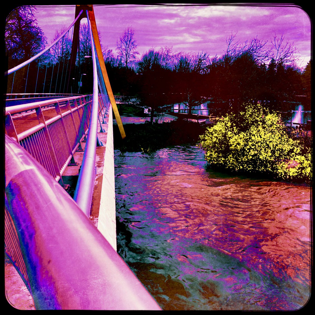 sdetroy's tweet image. Mostly, I do architecture when I’m on my bike. I’m interested in Bridges. And do you love @Hipstamatic