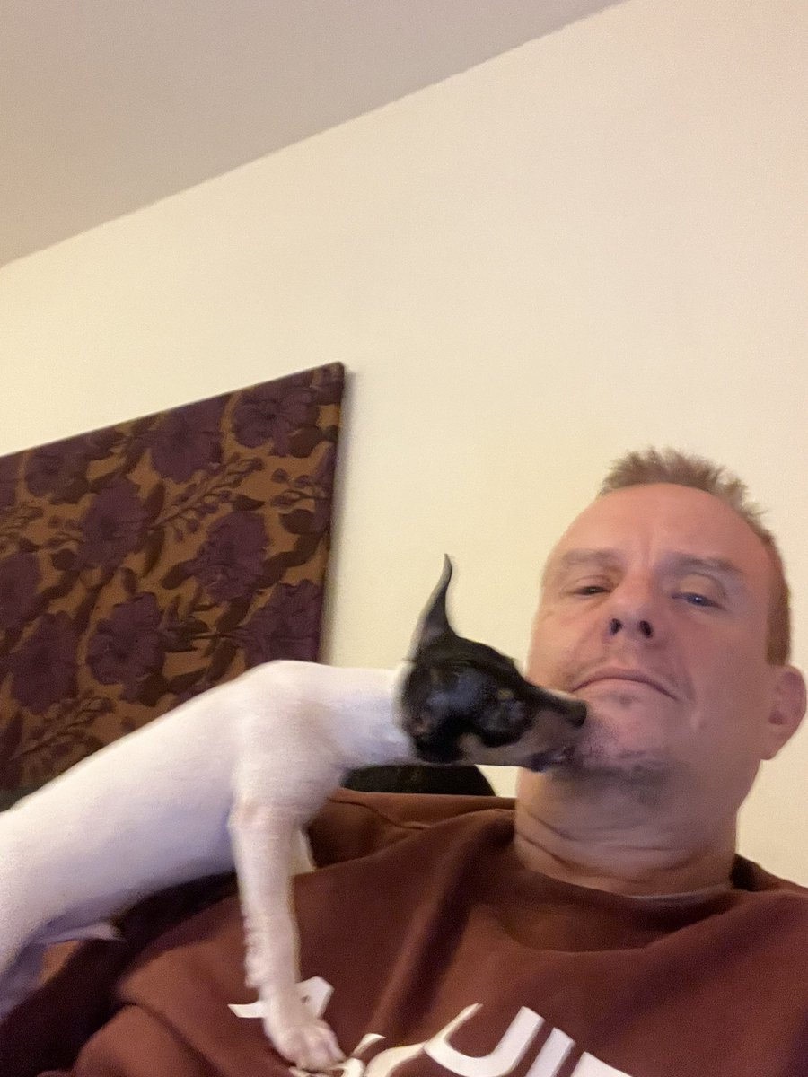 Vet ni varför små söta hundvalpar gärna slickar i ansiktet?