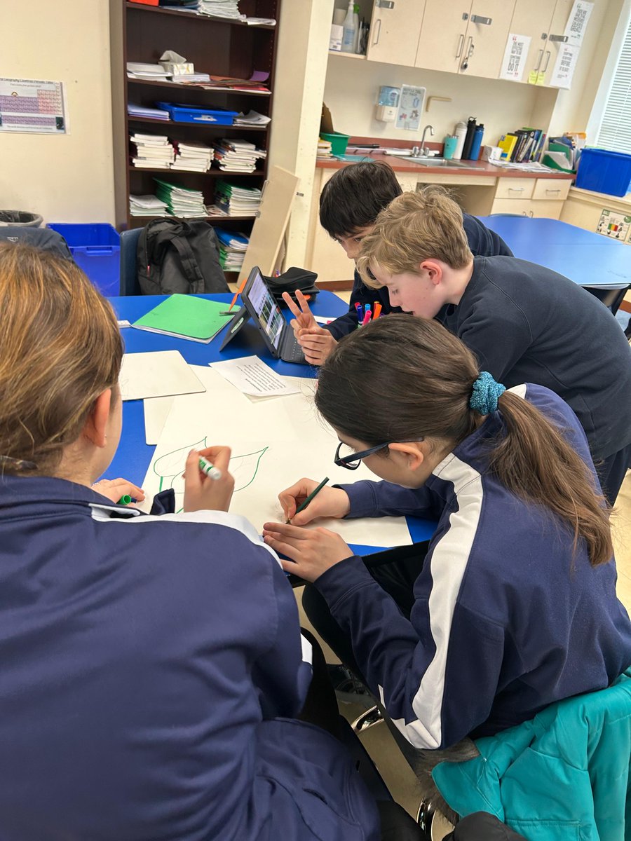 BISB_School's tweet image. 🌿 Year 8 Geography at #BISB brought the Tropical Rainforest to life with a 'Marketplace' activity! Students designed vibrant market stalls showcasing info on the rainforest structure and traded knowledge. 🌳🌎 Learning can be fun! #GeographyClass  #StudentEngagement"