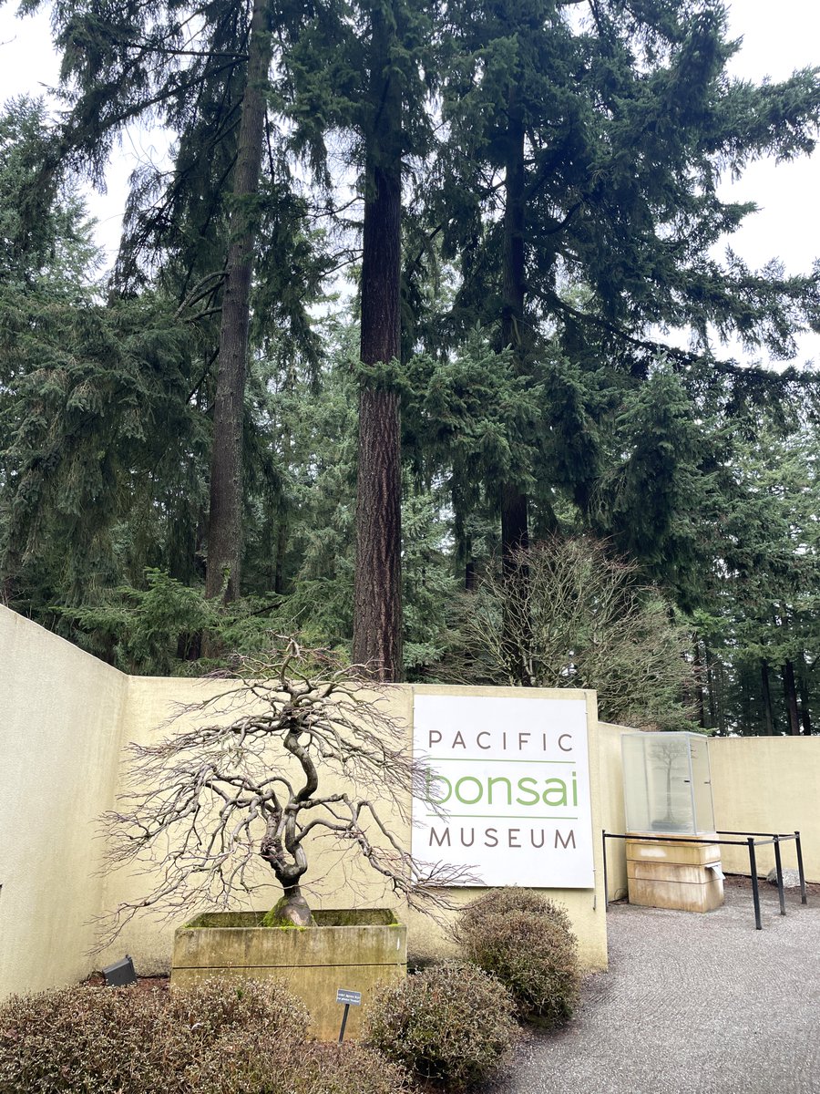 DenshoProject's tweet photo. The Densho team visited the @PacBonsaiMuseum in honor of today’s #MuseumLibraryWeek theme of #Exhibitions to investigate an interesting intersection between our two organizations that comes by way of the Domoto family. https://t.co/LN32H0mhy7