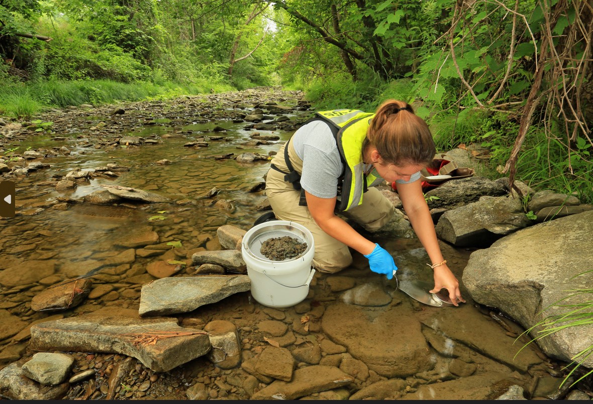 USGS Scientists say pesticides are likely impacting invertebrate life essential to our nation’s streams. Providing science for a changing world, the USGS showcases the nationwide study that led to this conclusion in their latest news release. usgs.gov/news/national-…