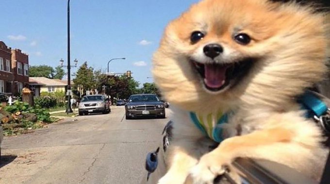 microsoft teams is down on a beautiful friday, sounds like a 3 day weekend https://t.co/O9YQYyI9Ad