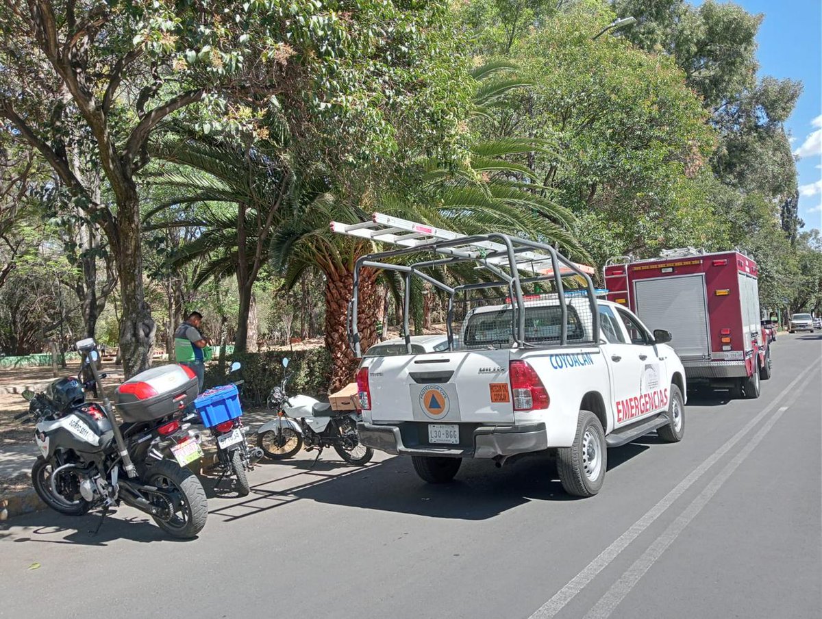 PaseosdeTaxquea's tweet photo. Ya están retirando el árbol que se cayó en el parque de las montañas. Información y fotos cortesía de @mitsve1 https://t.co/SVCQKHPZs4