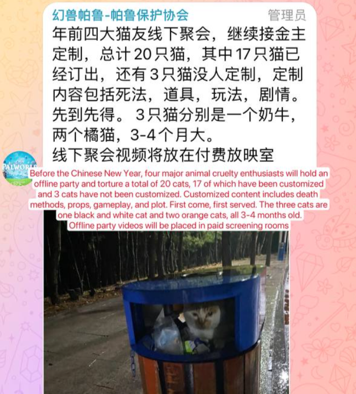 xaenlyyyyy's tweet photo. Chats shared in @Telegram group of over 1000 members. Cat t0rture rings have caught 20 #chinacats &amp; customized tortur6, in their so called "offline cat t0rture party" in (claimed) #Guangzhou Baiyunshan Park. @MFA_China
https://t.co/HzfDQNPZub
#chinatravel #HainanExpo2024