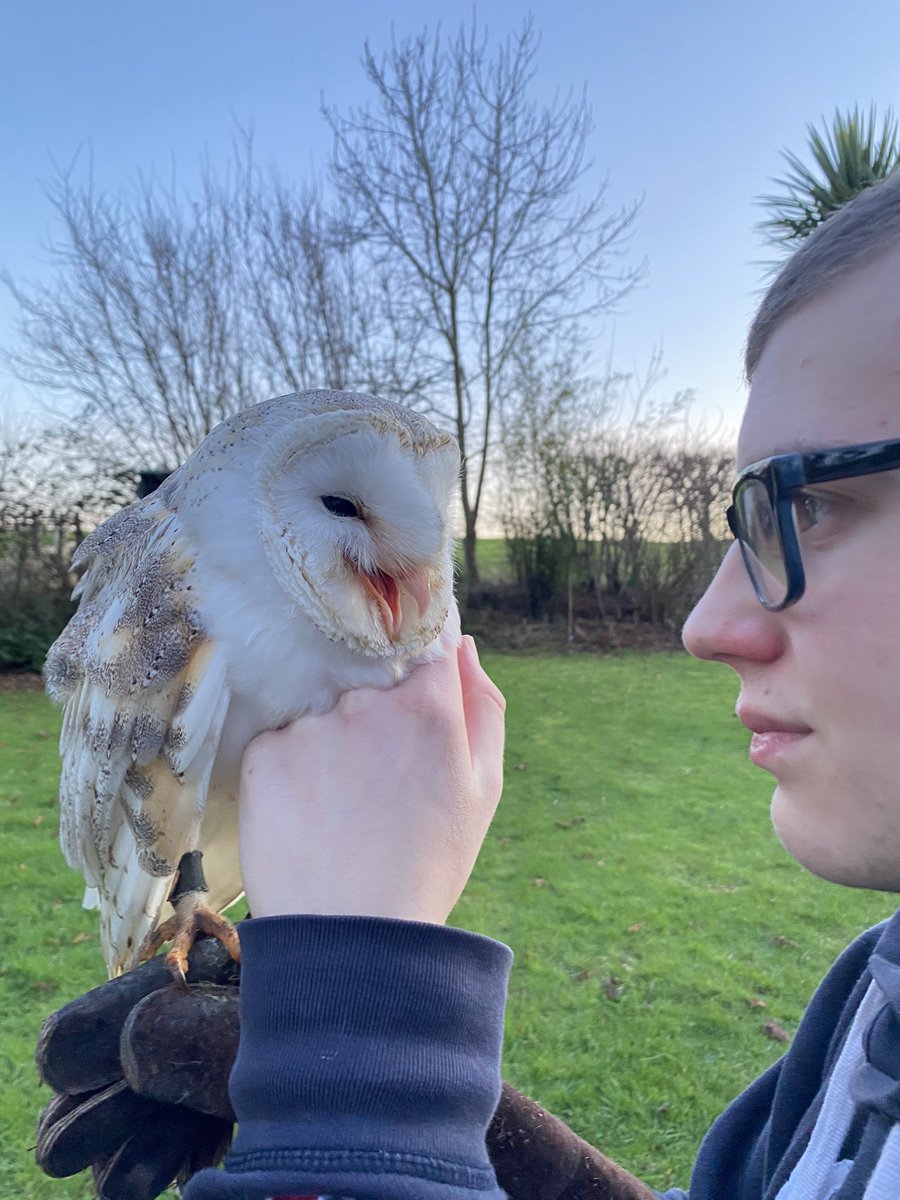 Hi! It’s Alex! Managed to spend a ‘medieval’ hour in the garden this evening before dusk. Archery and falconry.  Willow was happy. I’ve neglected my bow recently and need to get my focus back. 💪🏻🦿🦉🏹 #AlexandersJourney #Archery #Bowman #Owl #OwlWhisperer #WillowTheOwl
