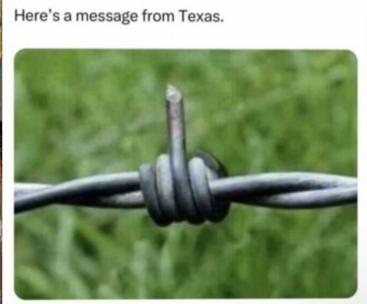 Elitists can BITE ME #GodSaveTexas 🏴󠁵󠁳󠁡󠁺󠁿 tweet media
