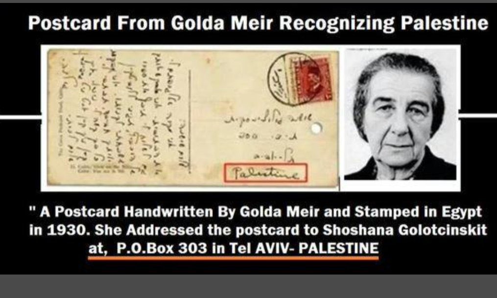 newSkye's tweet image. 