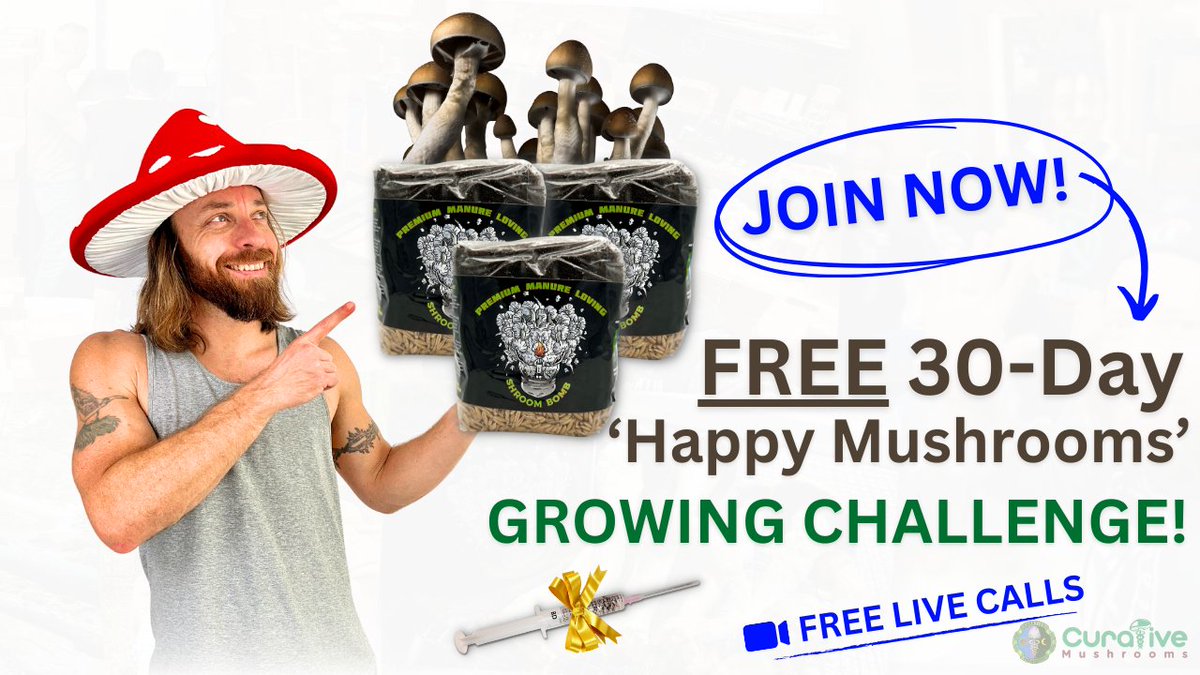 🍄🌟 LAST CALL for mushroom mavens! Join our LIVE Training for the 'Happy Mushroom' Challenge TONIGHT! Get all your questions answered by our expert, Oliver. Simple steps, BIG grows! 🚀 🔗 Join NOW, before 5 PM CT! curativemushrooms.com/30-day-mushroo… #MushroomMagic #GrowWithUs…