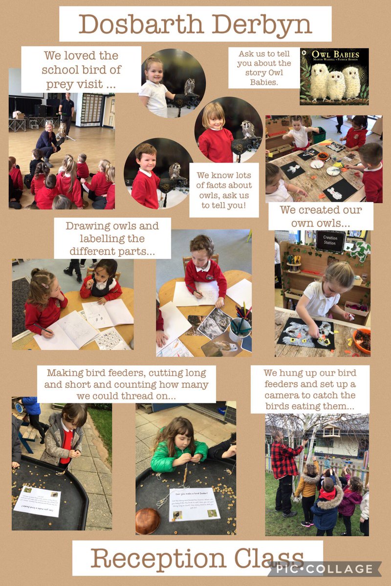 Maes Y Morfa tweet media