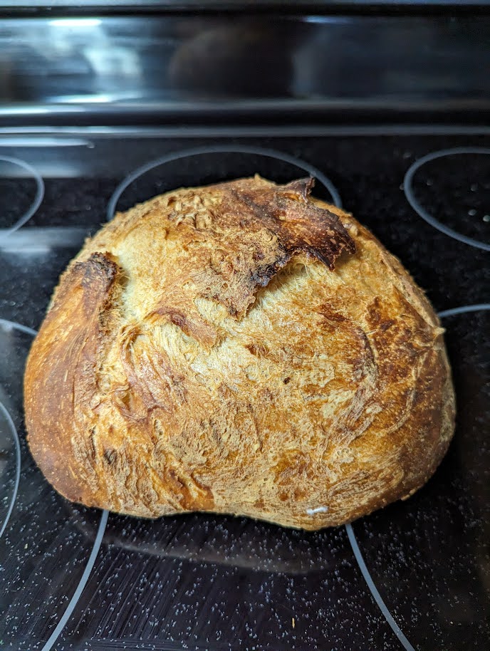 LadyinMT's tweet photo. Finally! Success makin' and bakin' a #sourdough round &amp; #baguette https://t.co/MvIkkD8I1t