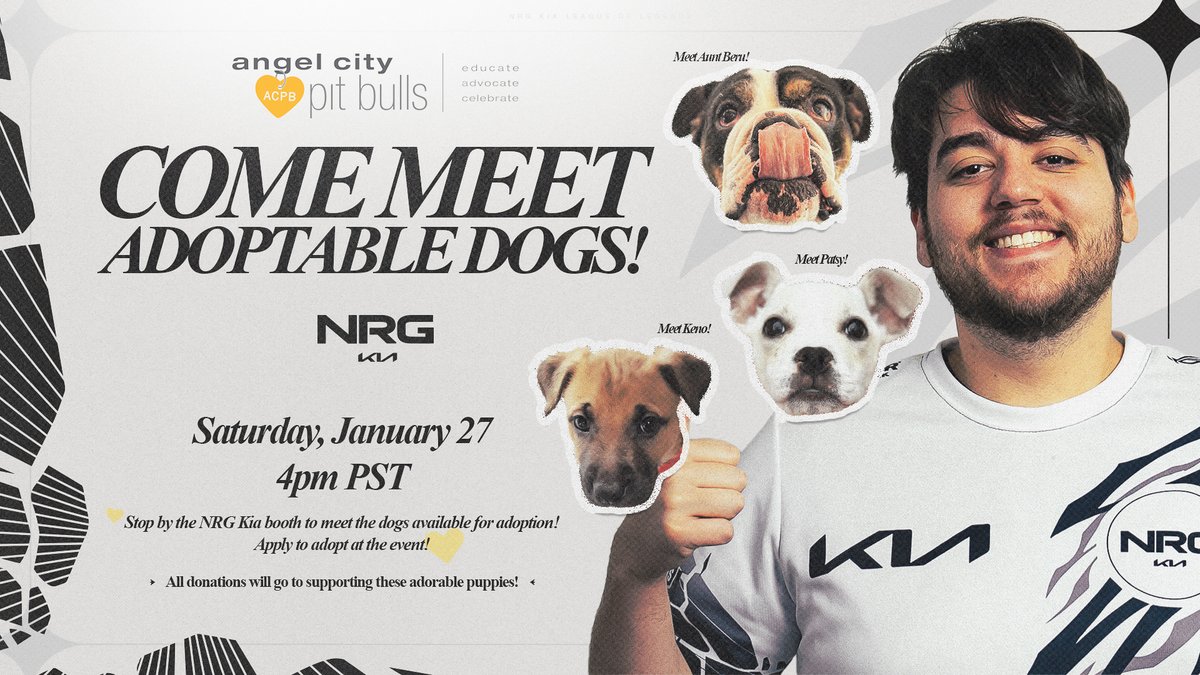 COME MEET SOME MORE VERY GOOD BOIS AND GIRLS THIS WEEKEND! We are partnering with @angelcitypits this weekend at Kia Fan Day to bring you more adorable dogs after matches end this weekend. Come swing by our booth to pat some puppies and help us find their forever homes!