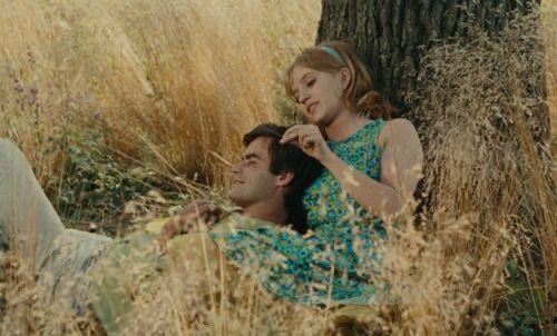 vardaarchive's tweet photo. le bonheur (1965) https://t.co/pY3ON8Rau0