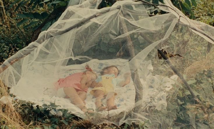vardaarchive's tweet photo. le bonheur (1965) https://t.co/pY3ON8Rau0