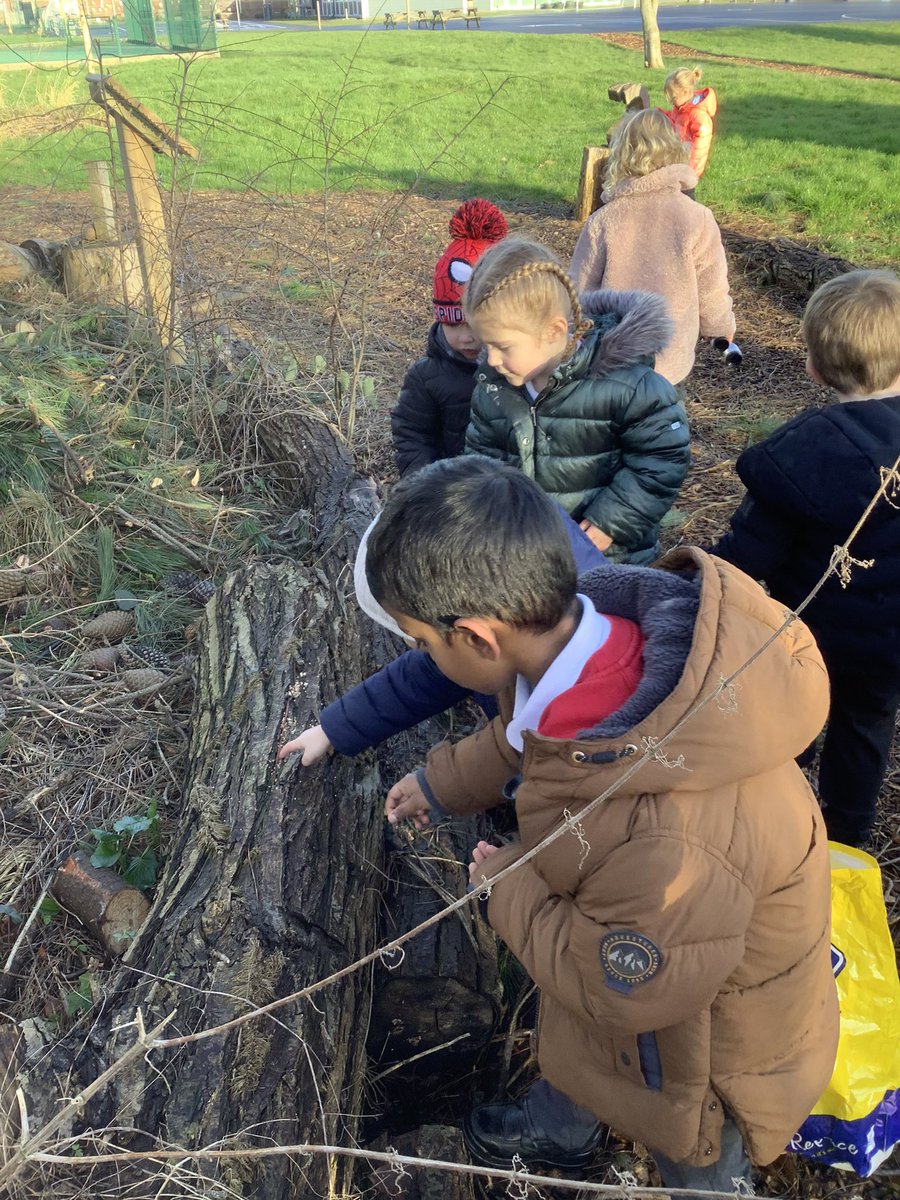 SunnyfieldsEYFS's tweet photo. We have been feeding the birds with bread and seed 🐦 https://t.co/YxCBdmRrz6