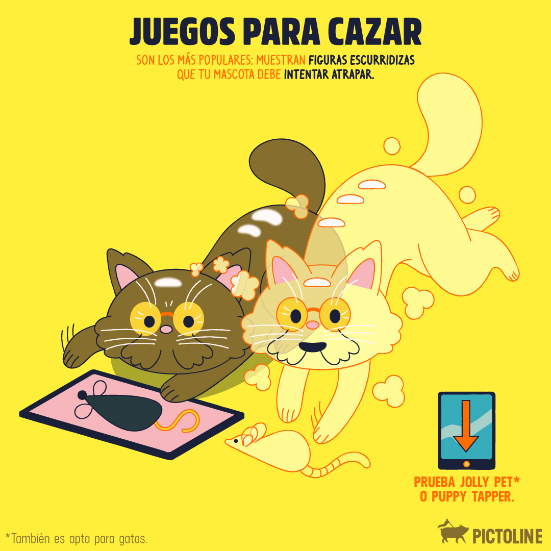 pictoline's tweet photo. Algunas opciones de apps para incentivar el juego y movimiento en mascotas viejitas 😺🐶 👵📲
#App #Juegos #Mascota #TipsMascotas https://t.co/t3a1bpoT1J