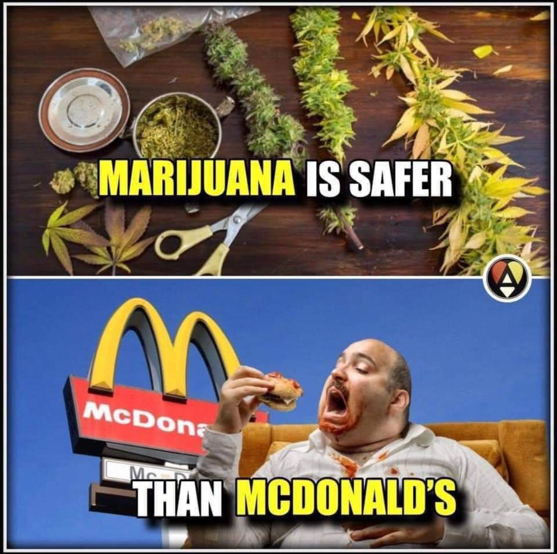 healthbot (@thehealthb0t) on Twitter photo 