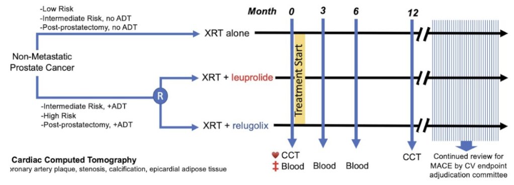 urotoday's tweet photo. Relugolix vs leuprolide in combination with radiotherapy for localized #ProstateCancer - the #REVELUTION trial: an initial analysis of patient treatment preferences and QoL. Presented by @sagarapatel @WinshipAtEmory. #GU24 coverage by @RKSayyid @UofT > https://t.co/odqI5MwyuP https://t.co/zSx422mSAG