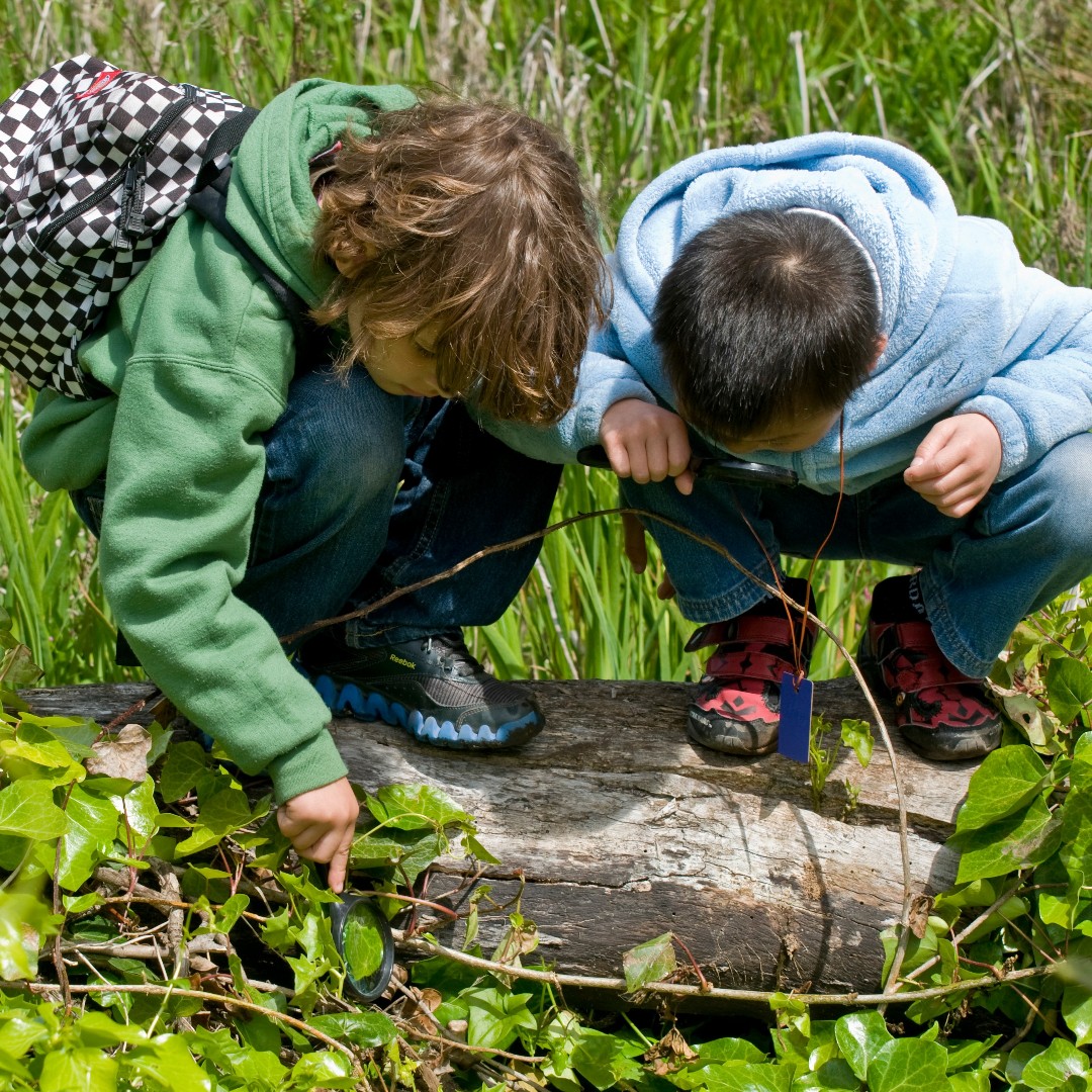 Happy International Environmental Education Day! The #GGNRA is the perfect classroom. Historical structures, captivating geology, and rich biodiverse habitats provide an incredible backdrop for any educational experience.