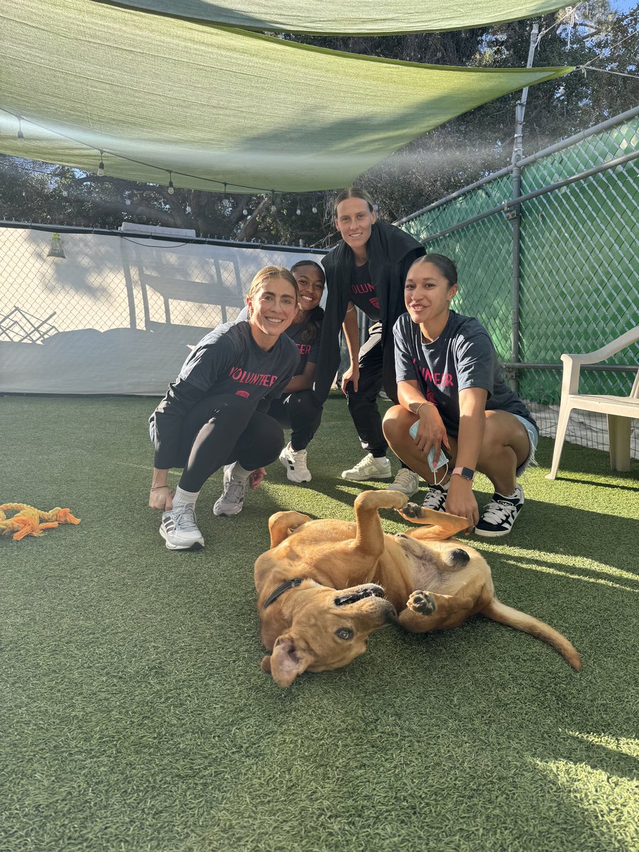 @Kailen_Sheridan @CaseyStoney @amirahali07 SD’s own @TheAnimalPad is an all breed rescue that focuses on saving dogs from high kill shelters and the streets of Mexico 💙 players are touring the facility and helping exercise and socialize the doggos. adoption info » theanimalpad.org