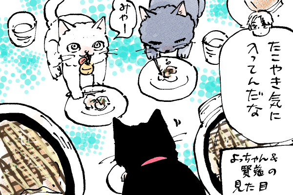 🐱キラキラにゃんこ生活
つがいもち以外には猫にしか見えてません😸
爪楊枝も手で持ってるんじゃなくて抑えつけてるように見えてます🐙 