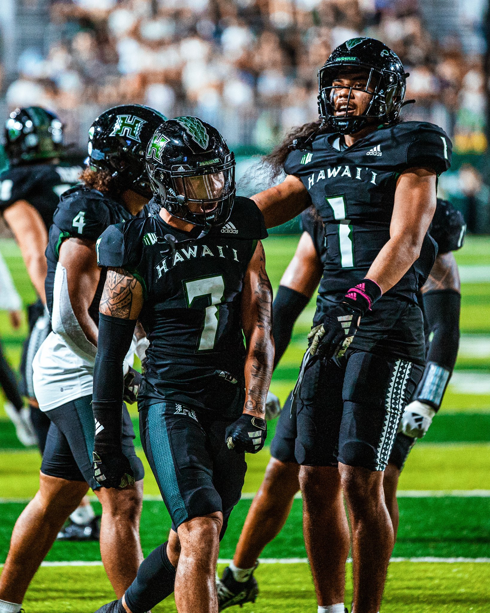 Hawaii football 2024