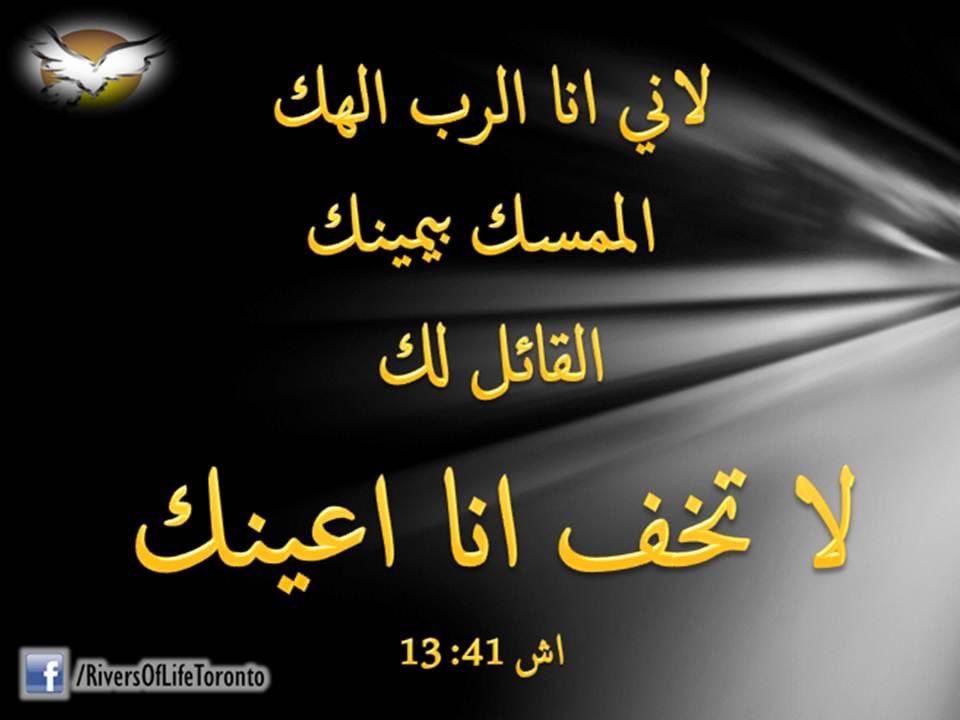 emad Abdelmalak (@emad92422281) on Twitter photo 