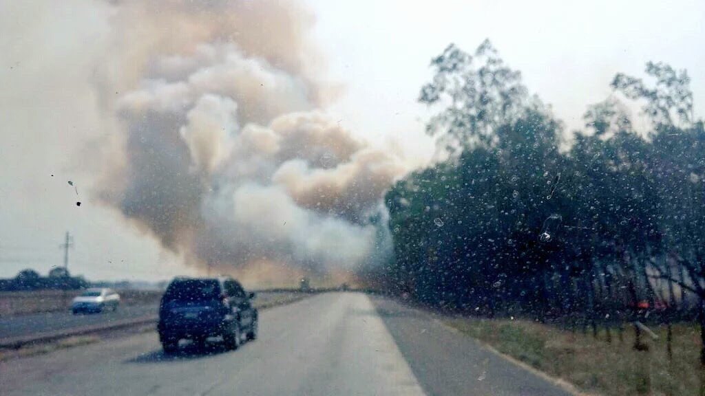 QUEMA DE HERBAZALES Y MASA VEGETAL: UN PROBLEMA RECURRENTE EN PANAMA.

IMAVE (Incendió de masa vegetal) 
Fuego que se propaga sin control, especialmente en zonas rurales, afectando la vegetación como arboles, matorrales, pastos y la fauna en general.
Seguir hilo…