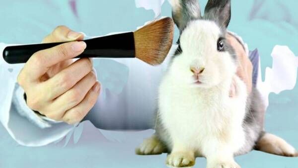 🔴 Hoy comienza a regir la ley que prohíbe el testeo de productos cosméticos en animales

 La normativa fue publicada en el Diario Oficial y está respaldada por la campaña #BeCrueltyFree. buff.ly/3vRghjq