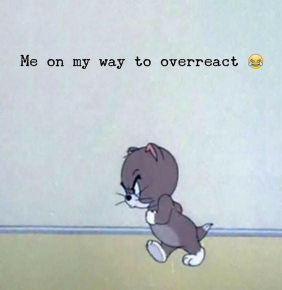 WholesomeMeme's tweet photo. https://t.co/TeSwTXKyEz