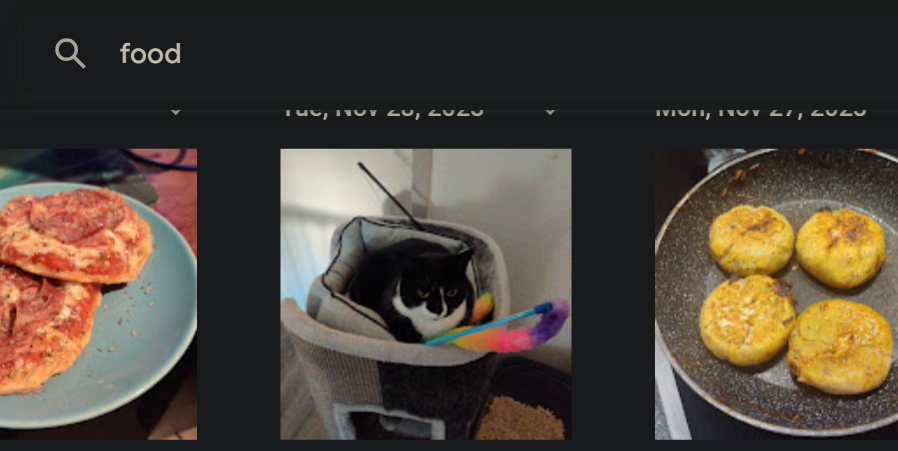 LyzGameArt's tweet photo. Help Google Photos thinks Luna is food. https://t.co/X3fHF8emdu